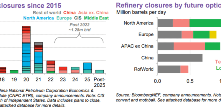 Primary Vision Insights – Premium Subscribers