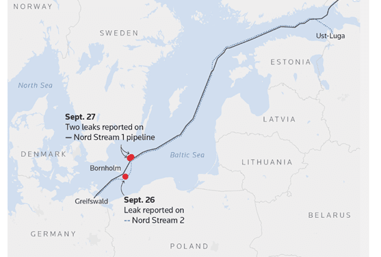 Primary Vision Insights – Premium Subscribers