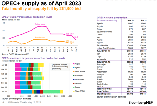 Primary Vision Insights – Premium Subscribers