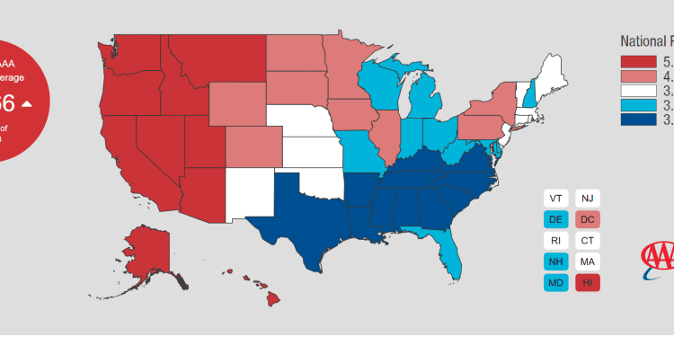 Primary Vision Insights – Enterprise Subscribers