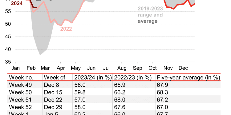 Primary Vision Insights – Enterprise Subscribers