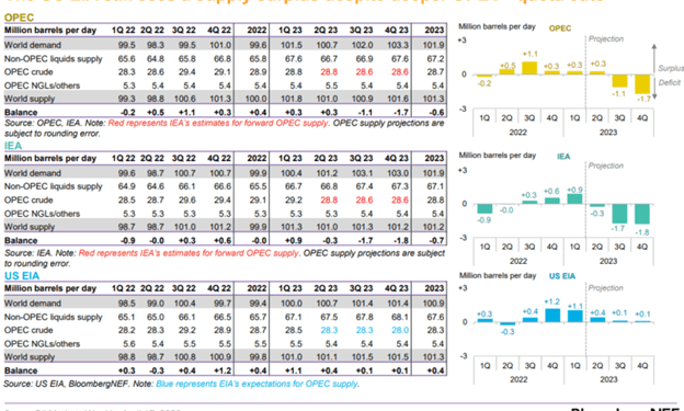 Primary Vision Insights – Premium Subscribers