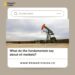 BIG READ: What do the fundamentals say about oil markets?