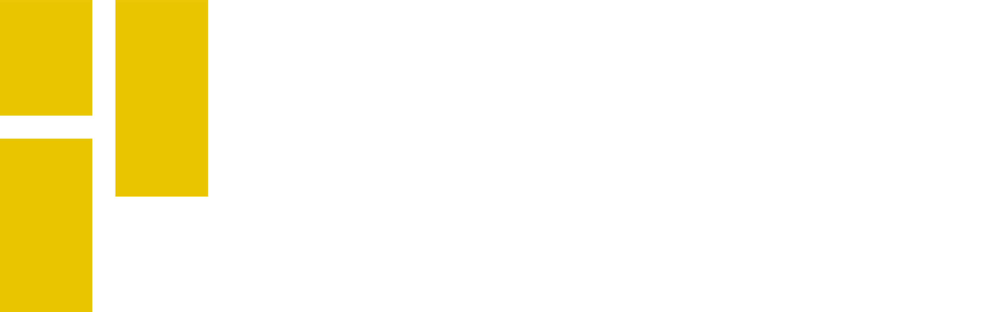 Primary Vision